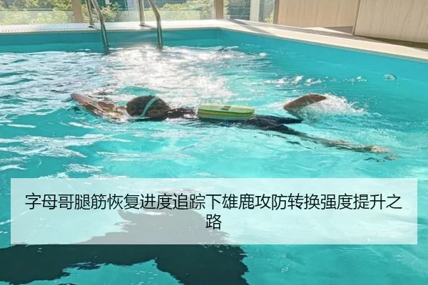 字母哥腿筋恢复进度追踪下雄鹿攻防转换强度提升之路